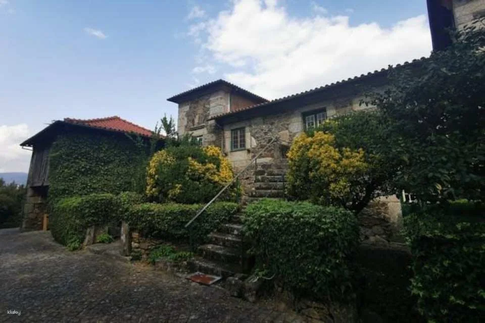 Northern Portugal Day Trip from Porto with Wine Tasting