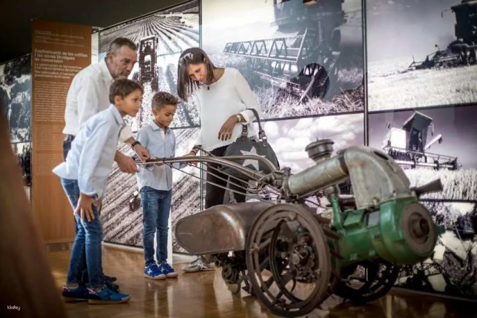 Terra Museum Skip-the-Line Tickets with Audioguide