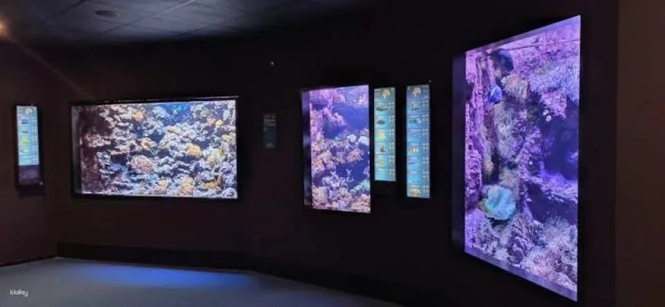 Acuario de Gijón Skip-the-Line Tickets