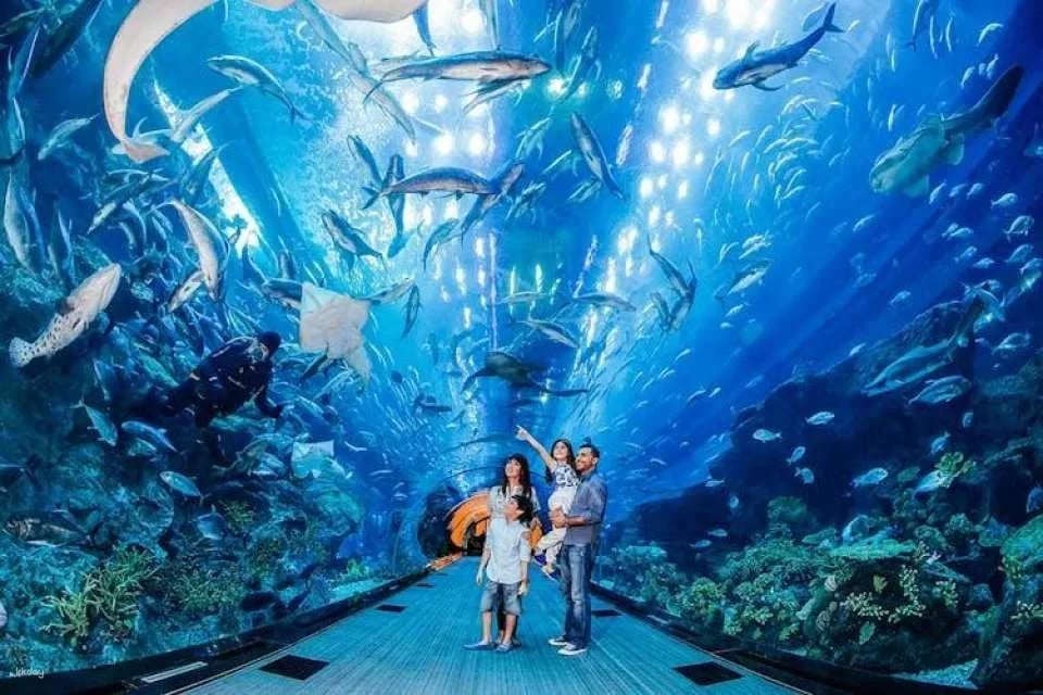 Go City | Dubai All-Inclusive Pass