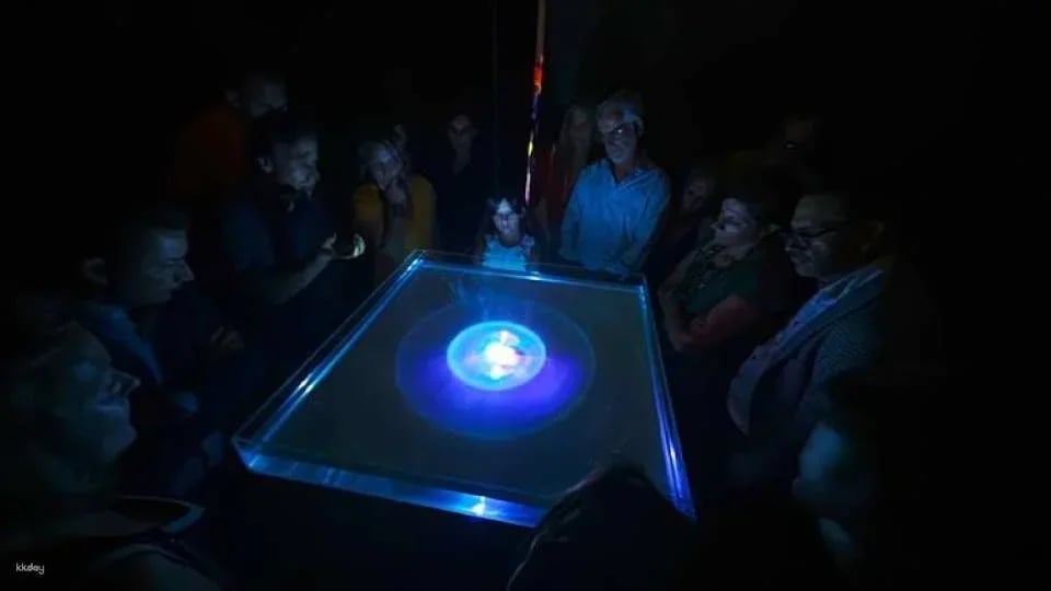 New Art Centre in Tarragona tickets and guided tour