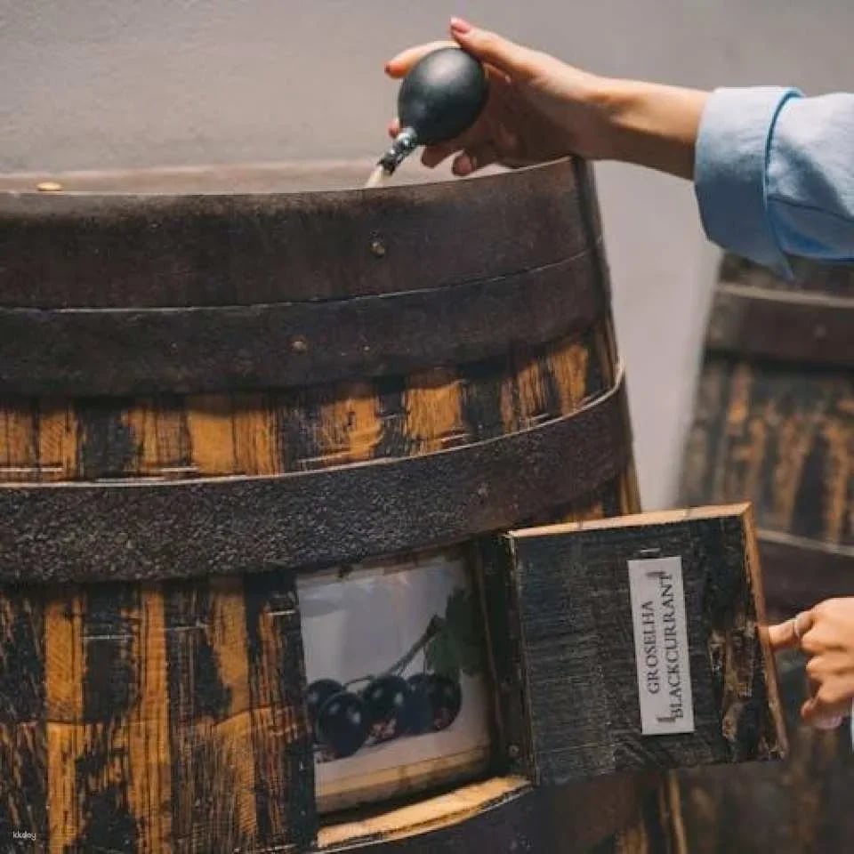 Self-Guided Taylor's Port Cellars Tour and Tasting in Porto