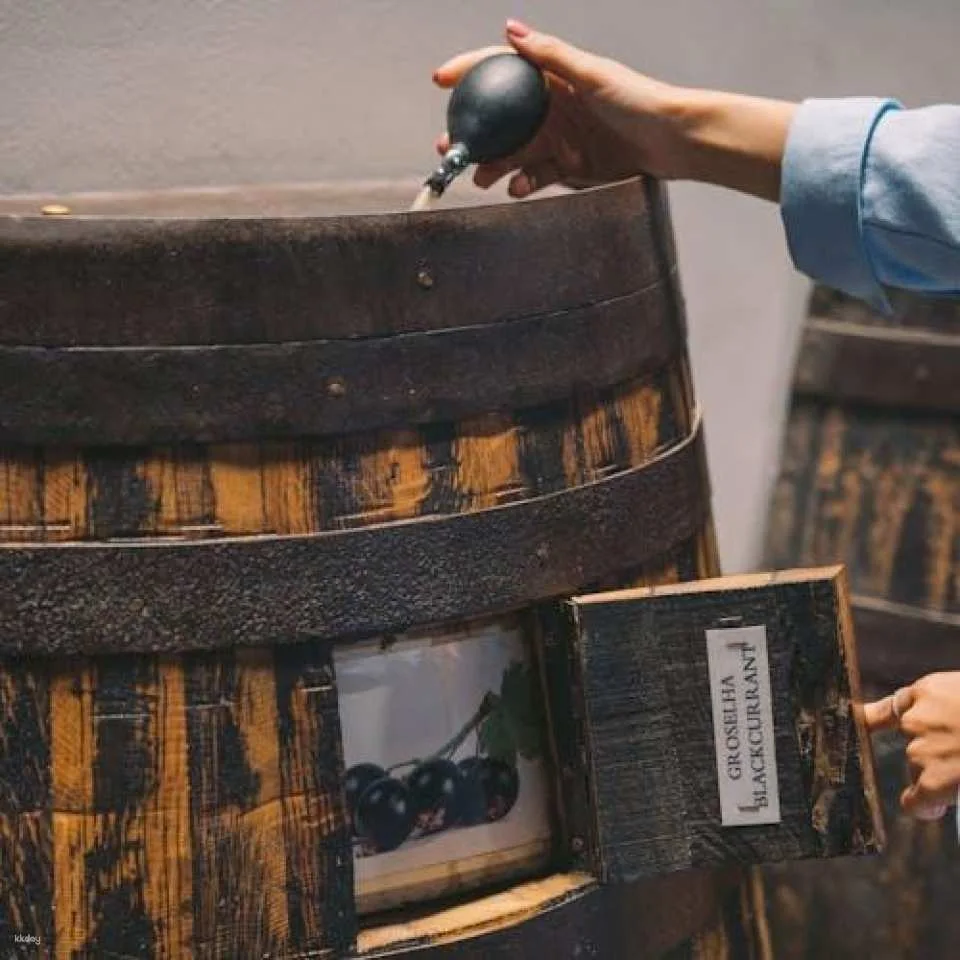 Self-Guided Taylor's Port Cellars Tour and Tasting in Porto