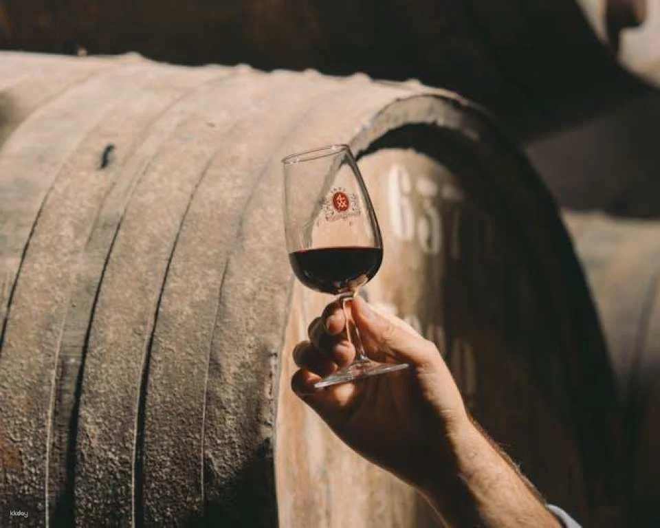 Self-Guided Taylor's Port Cellars Tour and Tasting in Porto