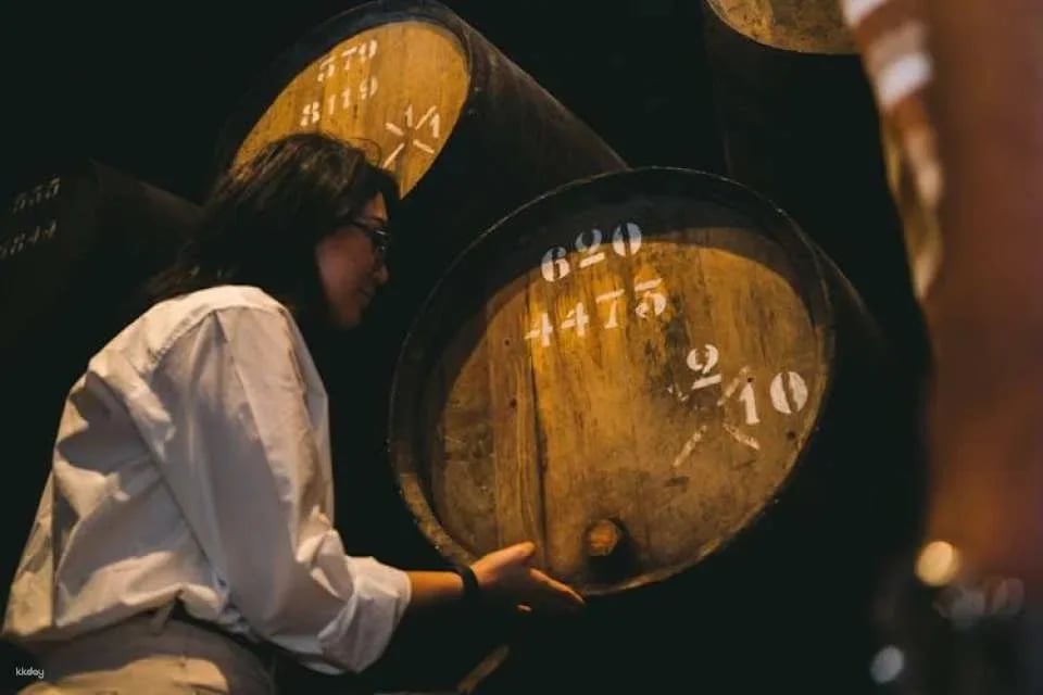 Self-Guided Taylor's Port Cellars Tour and Tasting in Porto