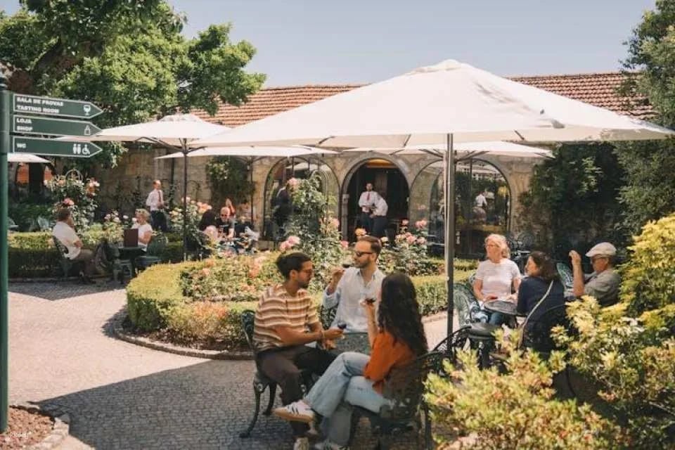 Self-Guided Taylor's Port Cellars Tour and Tasting in Porto