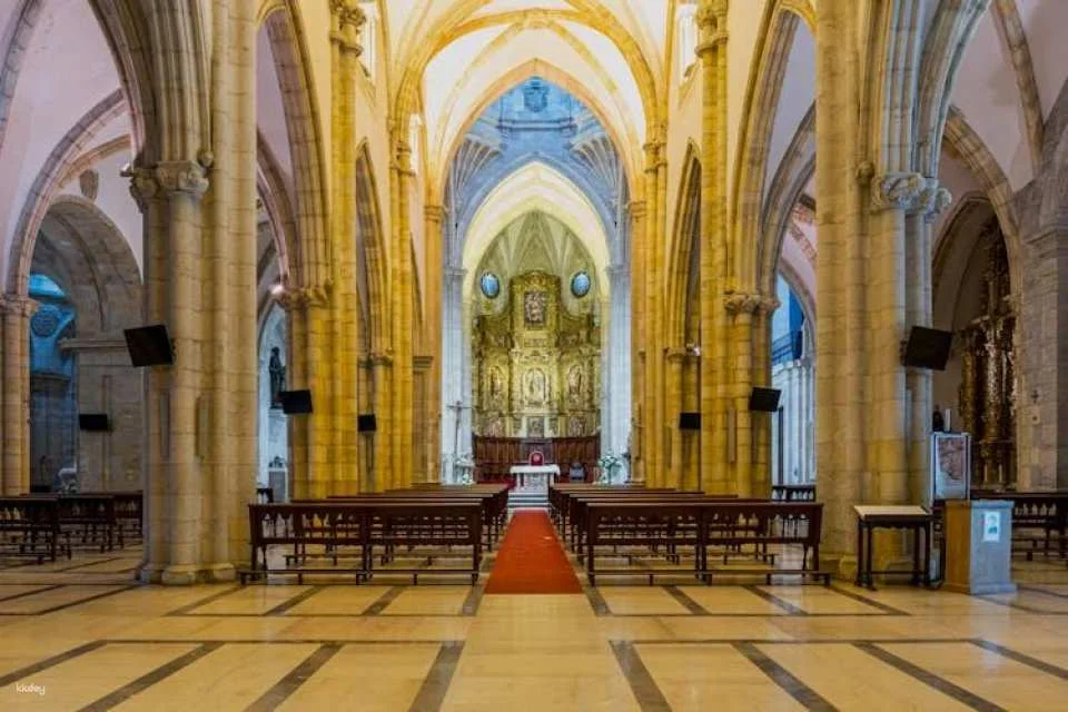 Guided tour of Santander's Cathedral of Our Lady of the Assumption