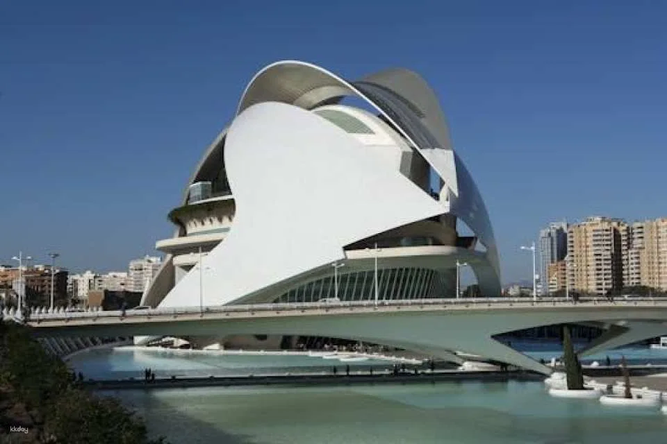 Palau de les Arts Reina Sofía guided tour (608912)