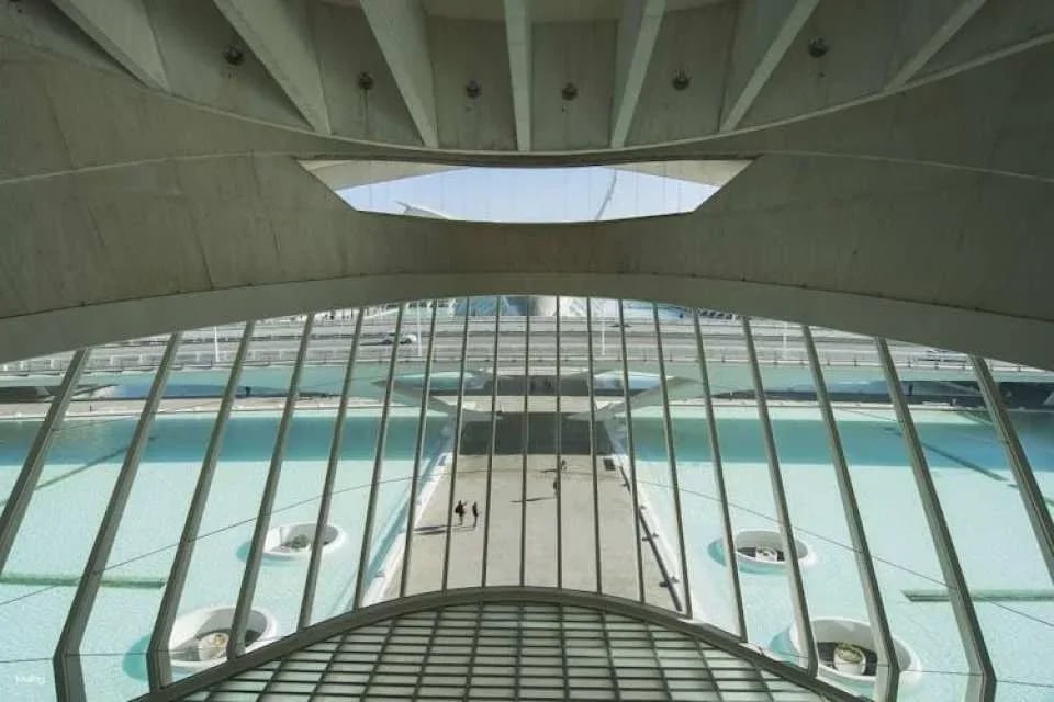 Palau de les Arts Reina Sofía guided tour