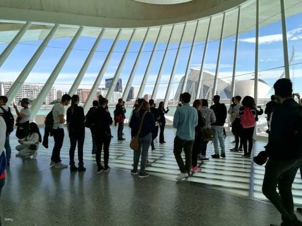 Palau de les Arts Reina Sofía guided tour