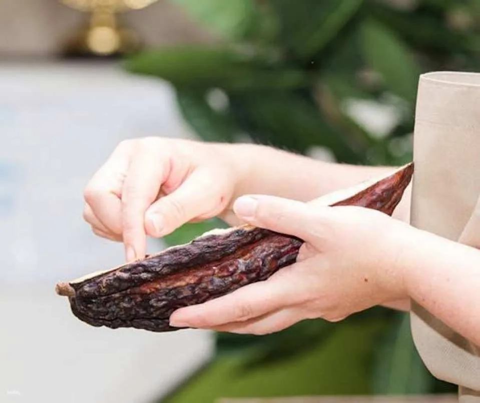 Chocolate tour at the Chocolatarium