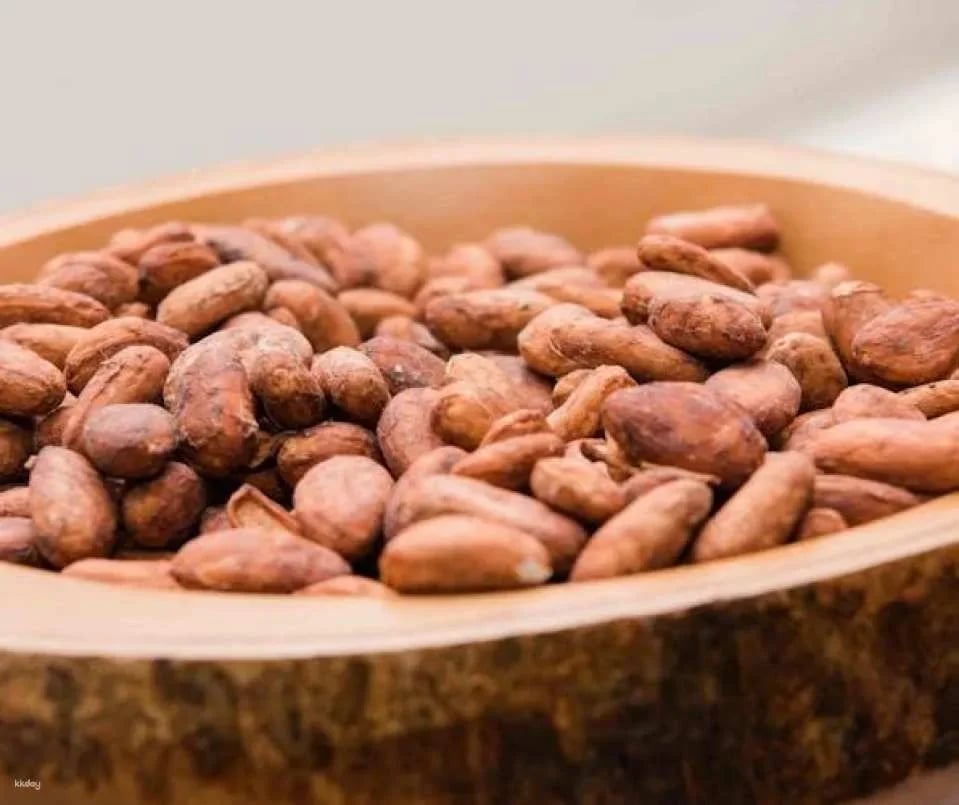 Chocolate tour at the Chocolatarium
