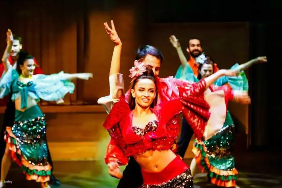 Rhythm of the dance show