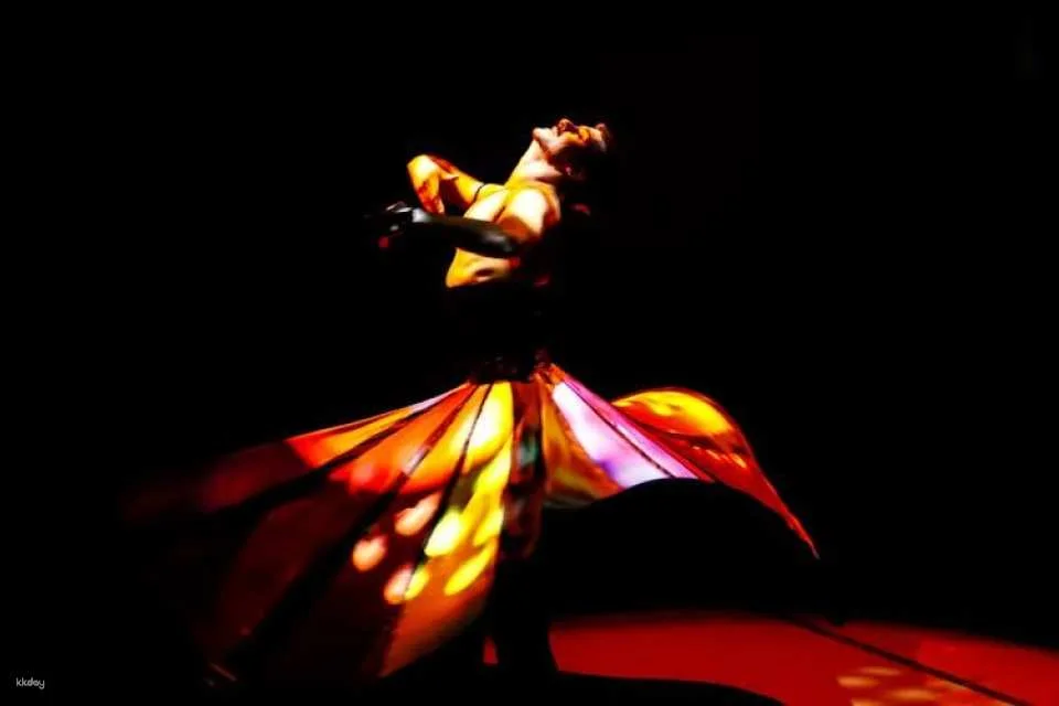 Rhythm of the dance show