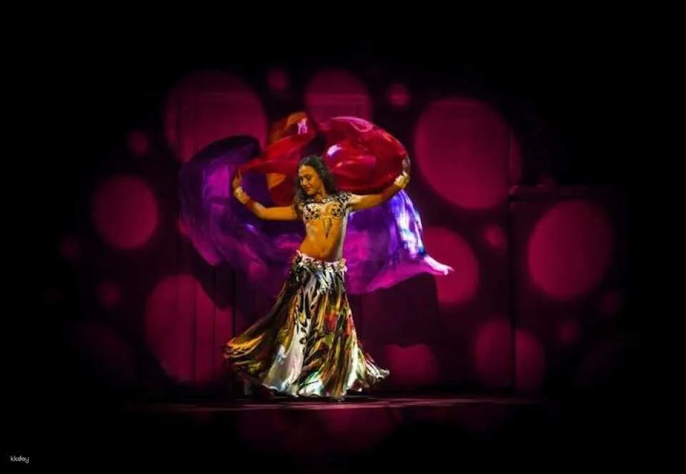 Rhythm of the dance show