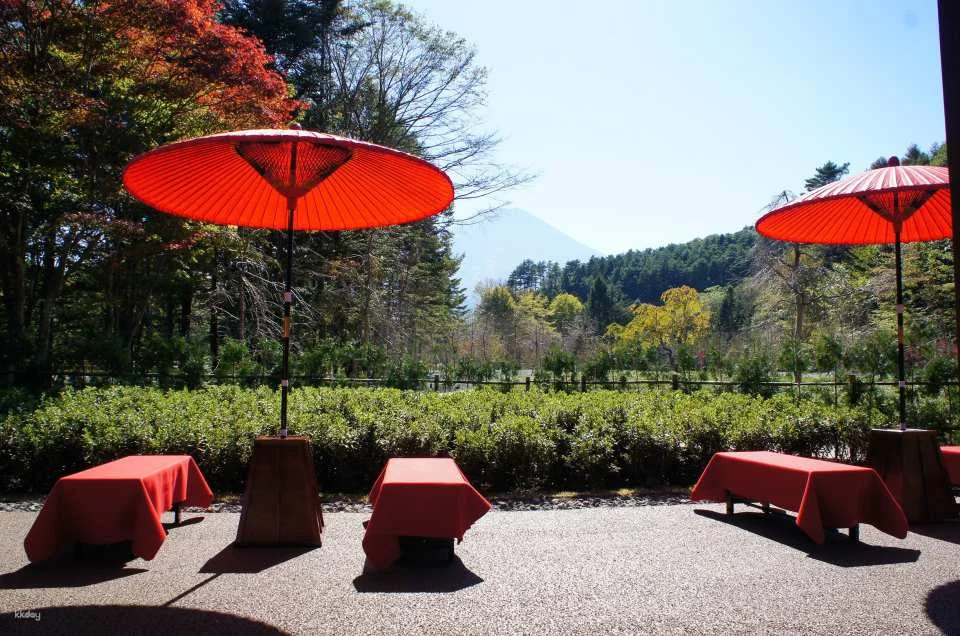 Yamanashi Mount Fuji Oshino Ninja Village Pass Tate Ticket