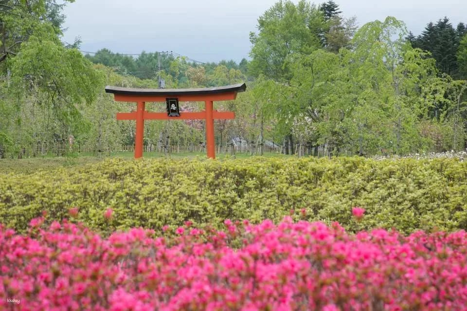 Yamanashi Mount Fuji Oshino Ninja Village Pass Tate Ticket