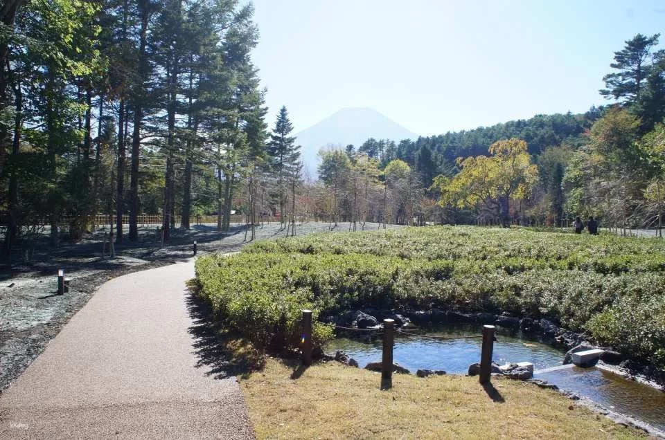 Yamanashi Mount Fuji Oshino Ninja Village Pass Tate Ticket
