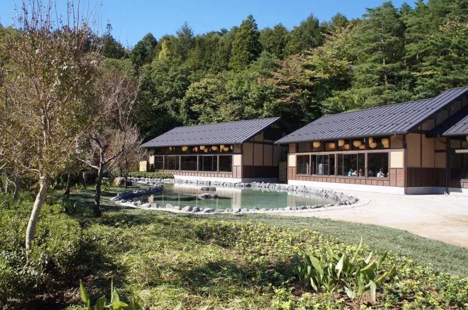 Yamanashi Mount Fuji Oshino Ninja Village Pass Tate Ticket