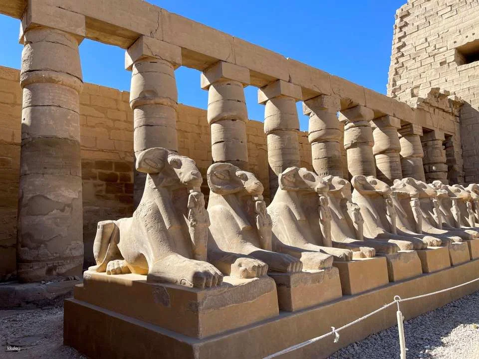 From Luxor Hot Air Balloon Ride With Luxor Temple and Karnak