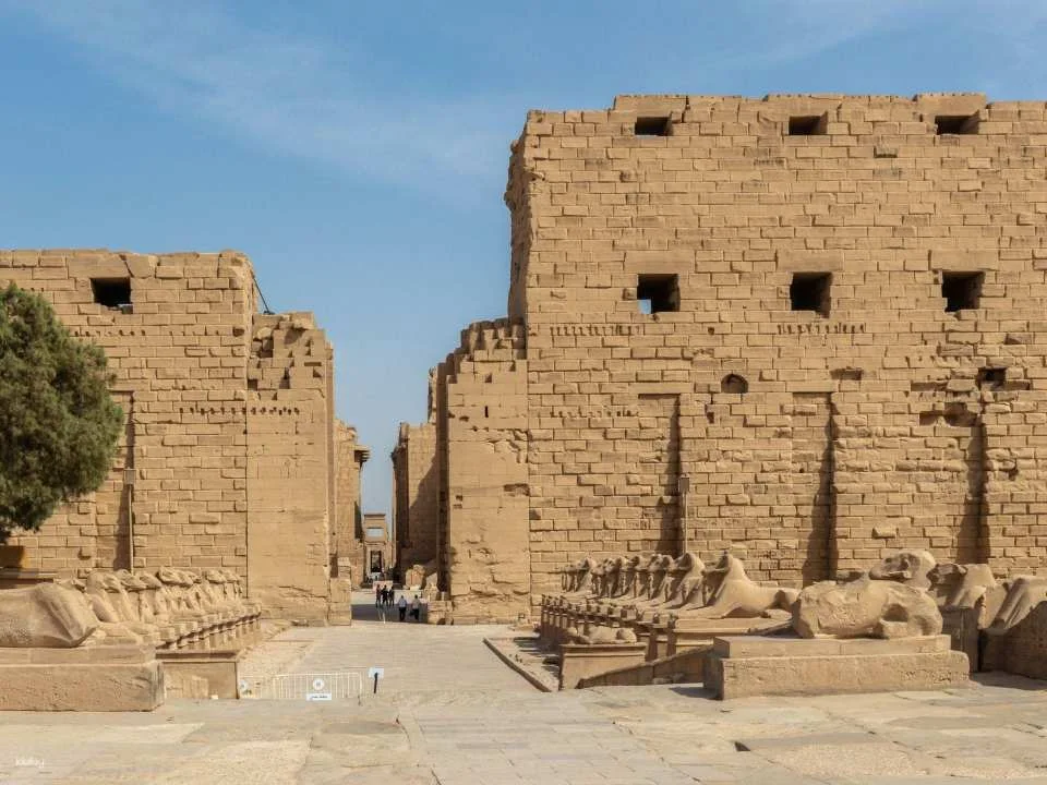 Avenue Of Sphinxes Tour With East Bank Temples & Museums Visits