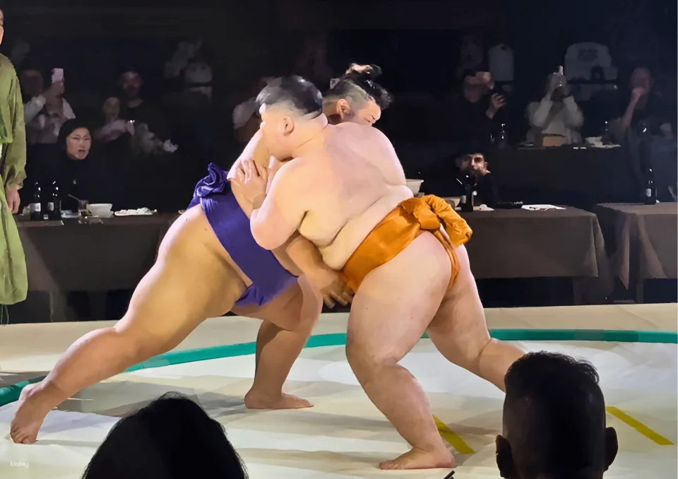 Osaka Rinku Castle | Sumo Wrestling Show & Samurai Iaido Experience (Meal Included, Optional)