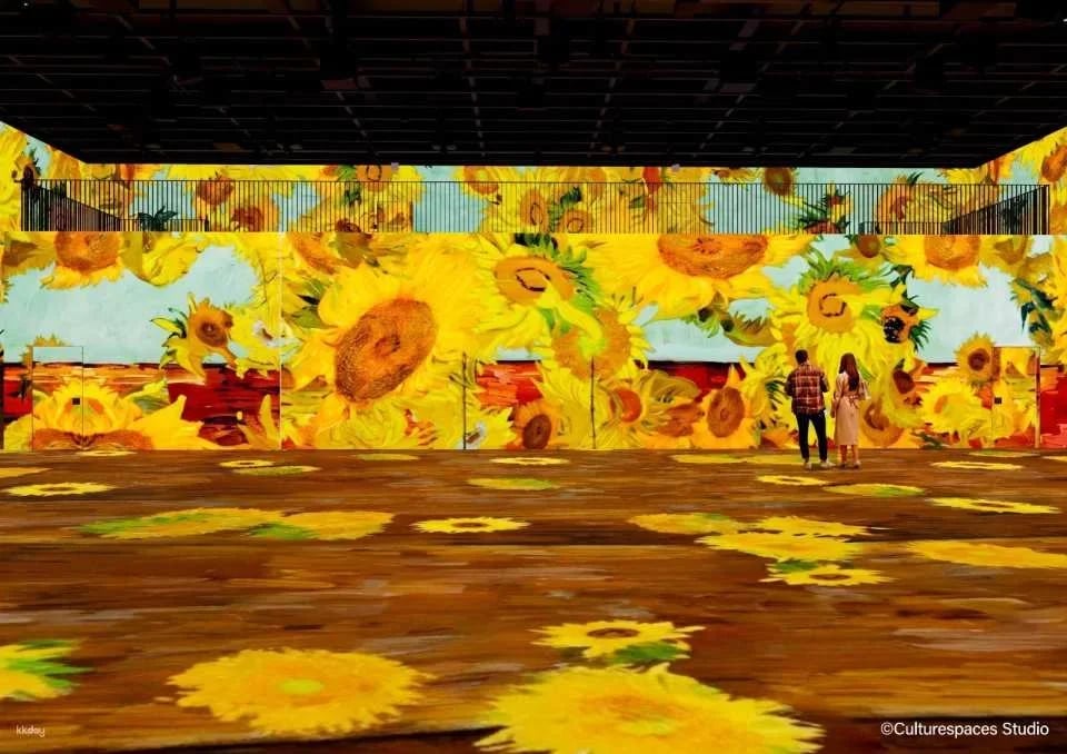 Tokyo Ariake | RÊVE DES LUMIÈRES Art Exhibition