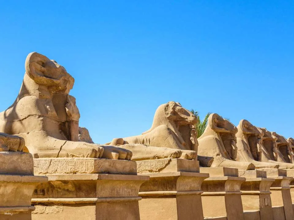 Luxor Tour To Hatshepsut Temple, Memnon, Karnak & Luxor Temple
