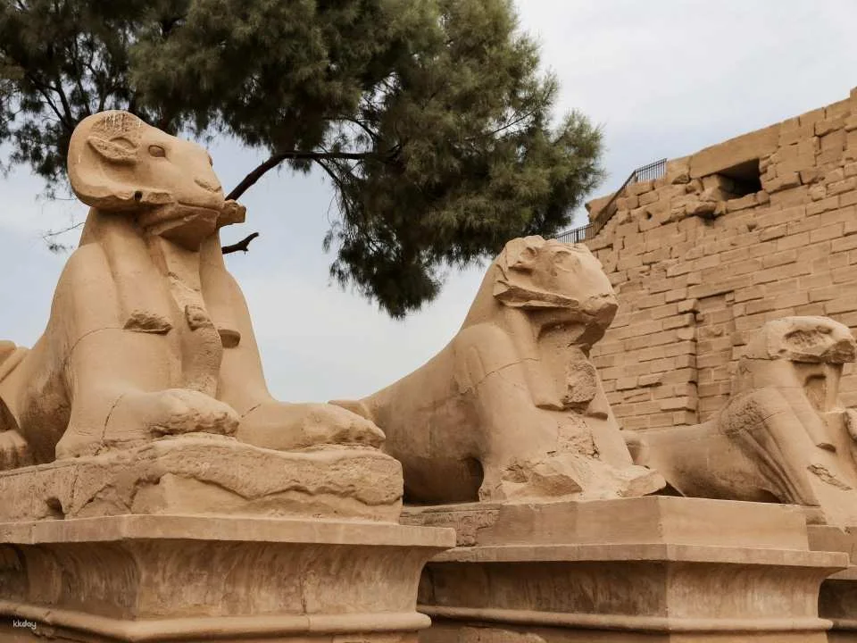 Private Luxor Temple Tour With Karnak and Sphinx Avenue