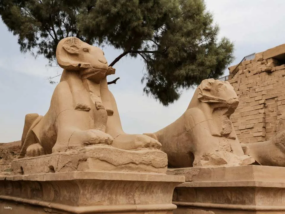 Guided Avenue Of Sphinxes Tour With East Bank Luxor Temples
