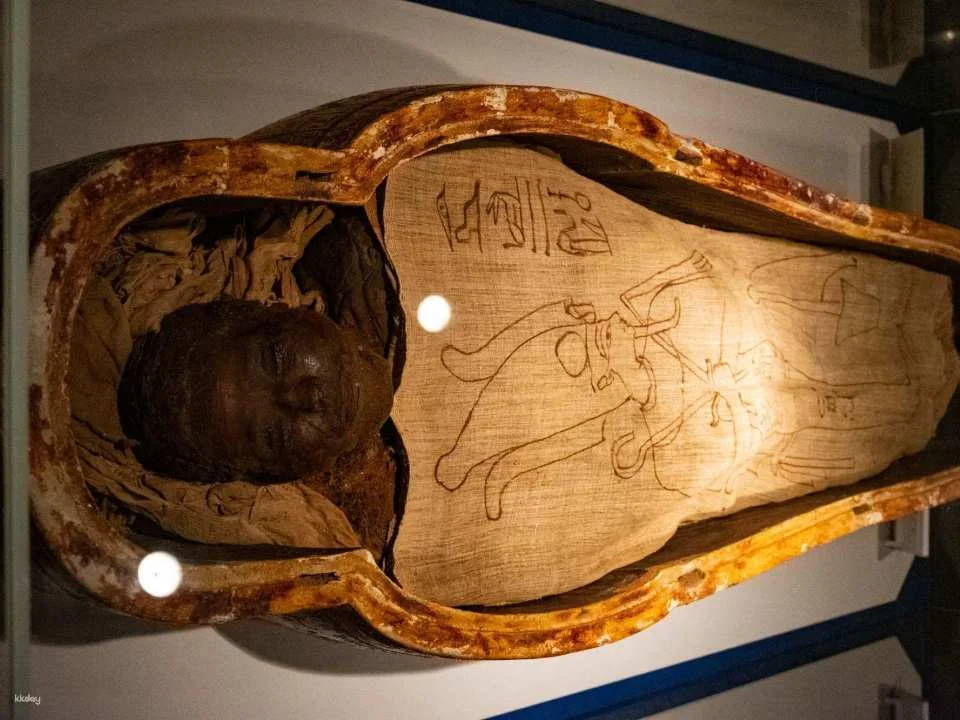 Guided Luxor Museums Tour With History and Mummy Displays
