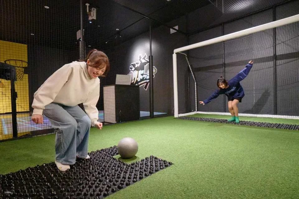 Osaka | VS PARK Sports Experience Tickets