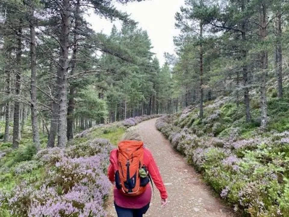 Scottish Highlands full-day guided walking tour