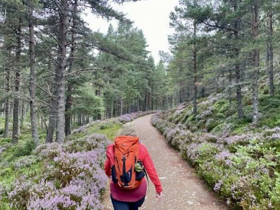 Scottish Highlands full-day guided walking tour (609754)