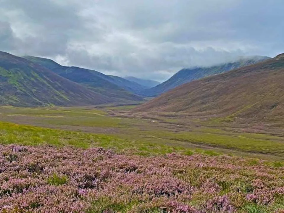 Scottish Highlands full-day guided walking tour