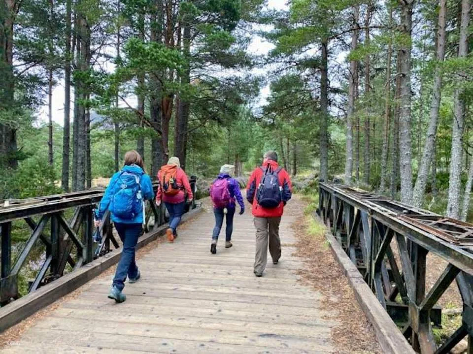 Scottish Highlands full-day guided walking tour