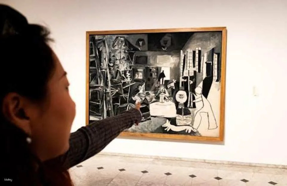 Picasso Museum of Barcelona guided tour with skip-the-line tickets (609765)