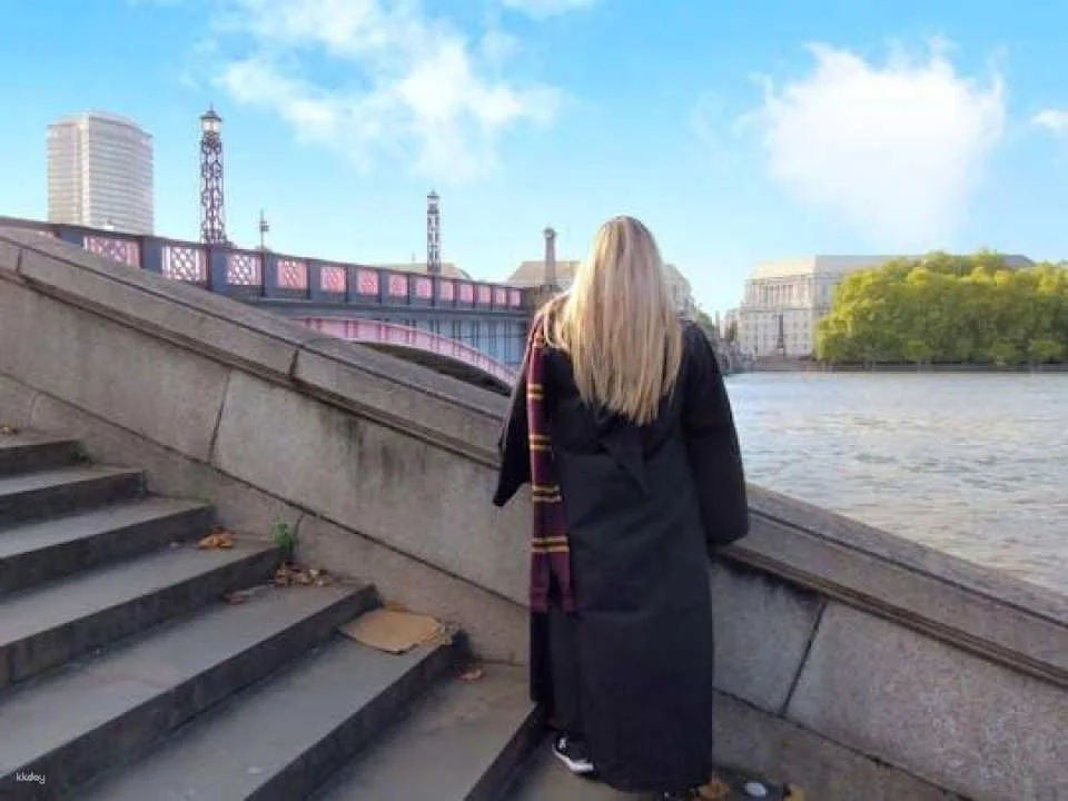 Harry Potter London private taxi tour (609774)