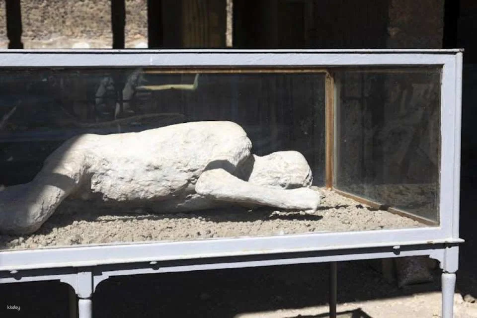 Entrance tickets to the Ruins of Pompeii