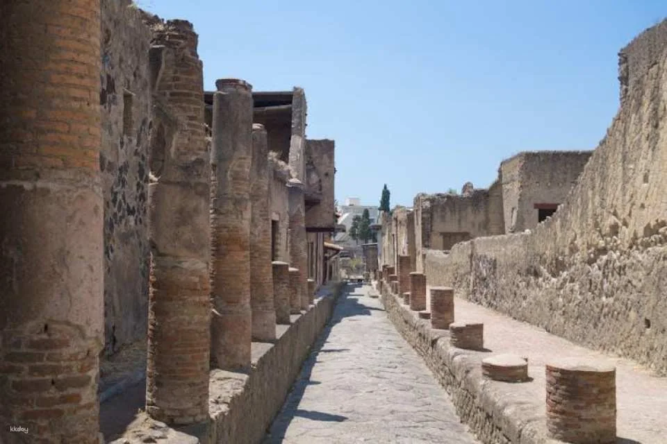 Entrance tickets to the Ruins of Pompeii