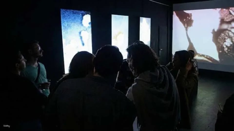 Digital Dimensions exhibition at Berlin P61 gallery