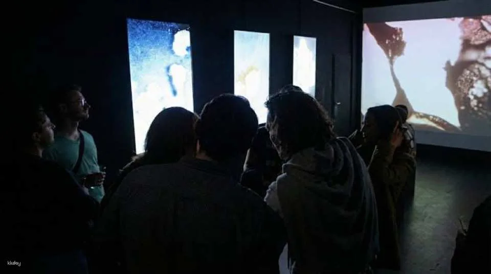 Digital Dimensions exhibition at Berlin P61 gallery