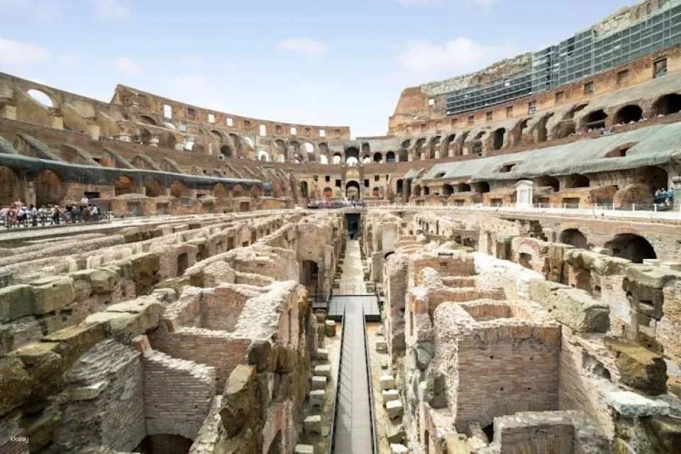 Colosseum and arena floor private tour with local guide