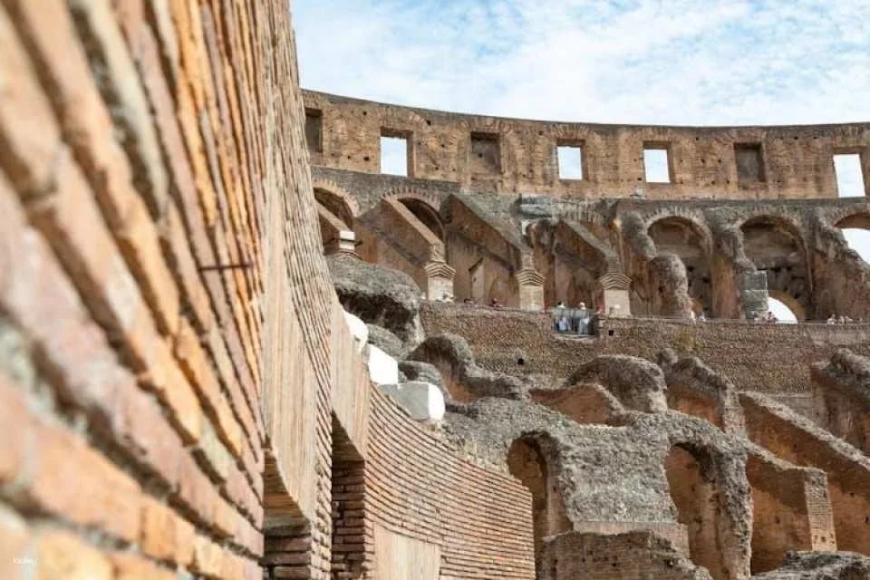 Colosseum and arena floor private tour with local guide