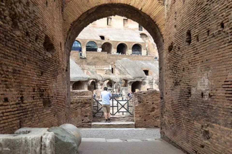 Colosseum and arena floor private tour with local guide
