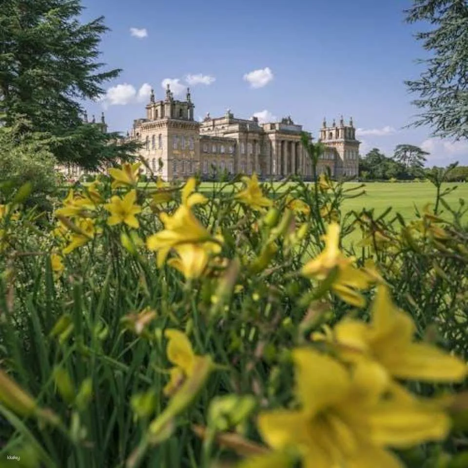 Blenheim Palace admission ticket with Adventure Play