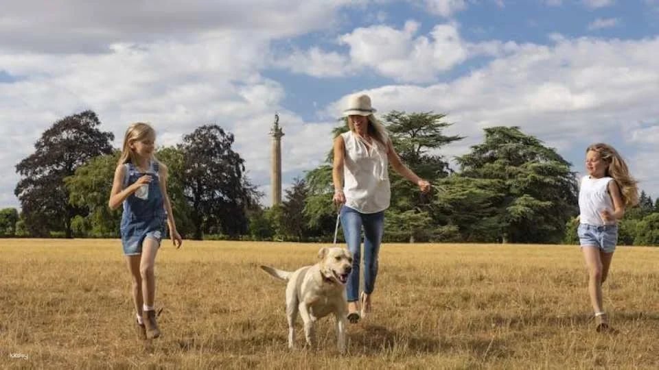 Blenheim Palace admission ticket with Adventure Play