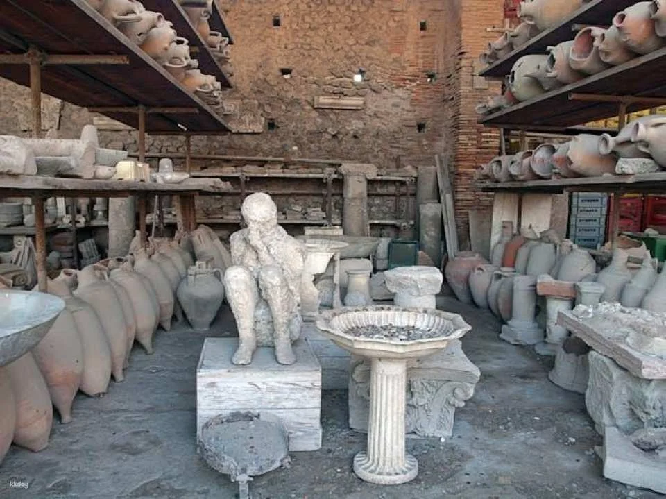 Pompeii, Herculaneum and Vesuvius audioguided tour from Naples
