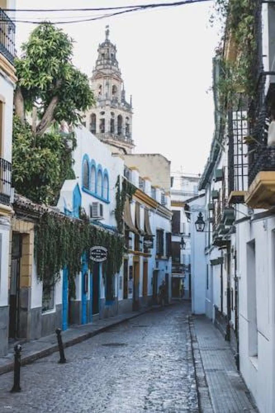 Guided tour of the Jewish Quarter and the Mezquita of Córdoba