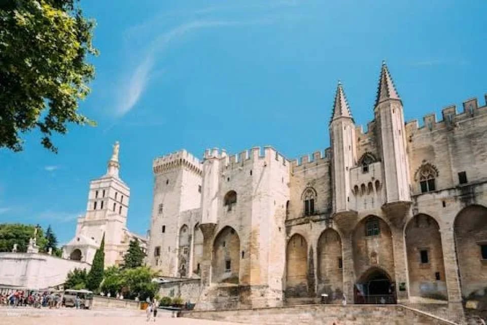 Palais des Papes entrance tickets and access to the Gardens